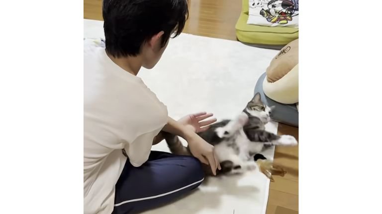 猫と男性
