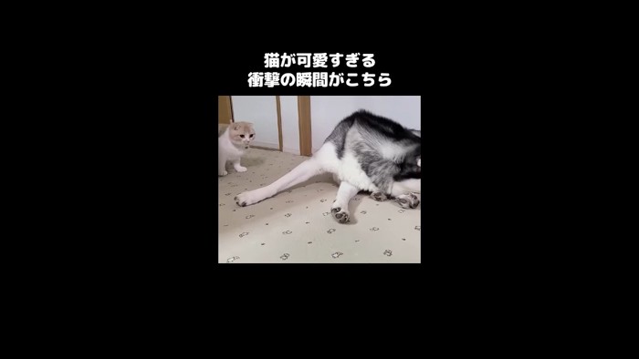 立ち上がった姿