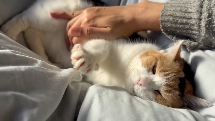 恍惚な表情なミケ