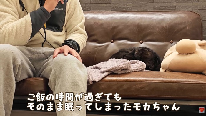 テロップ「ご飯の時間が過ぎても～」