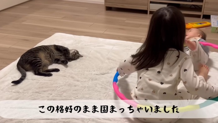 脱力姿勢のまま固まった猫