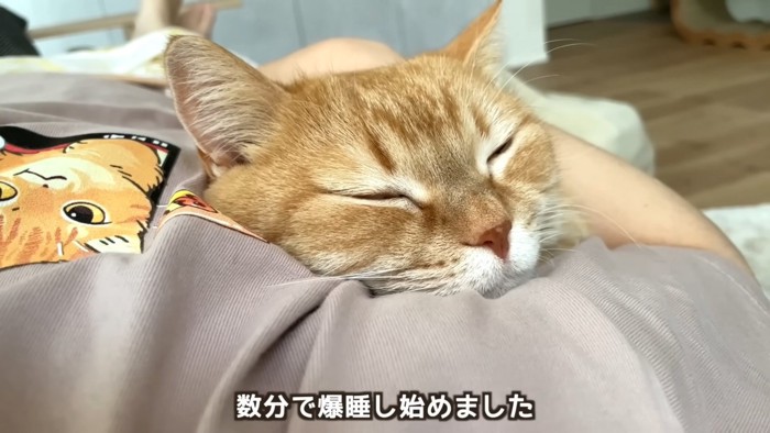 眠るプリンくん