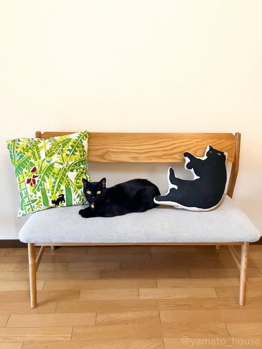 長椅子に座る黒猫