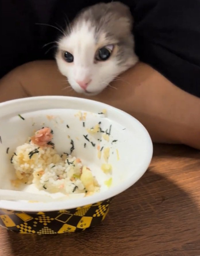 首を伸ばすギンくん