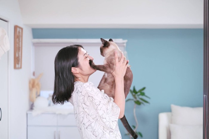 飼い主の顔にパンチする猫