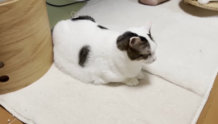 しゃがみ込んで