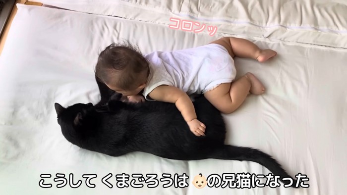 猫と寝る赤ちゃん