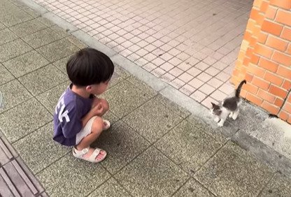 子猫と向かい合う少年