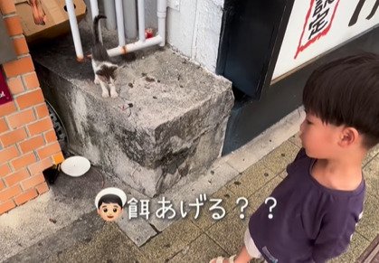 子猫を見る少年