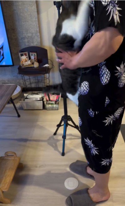 人に抱かれている猫