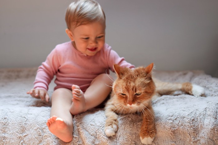 赤ちゃんに撫でられるイカ耳の猫
