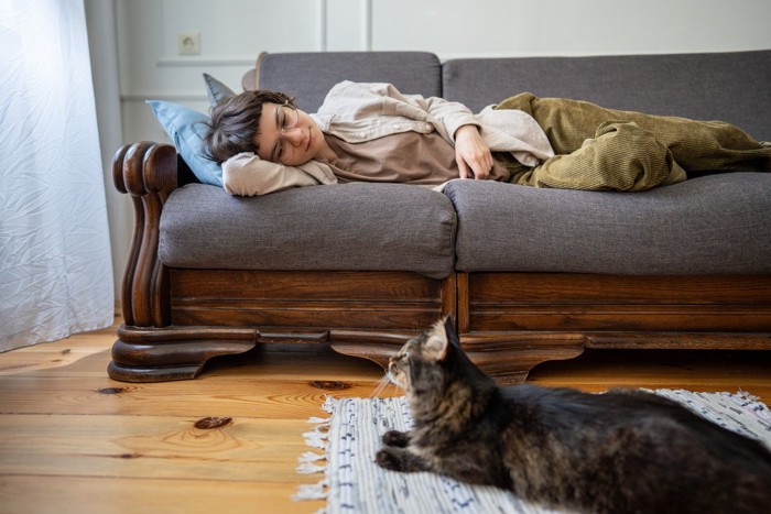 ベッドに横たわる女性と猫