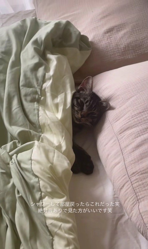 ベッドで寝ている五右衛門くん