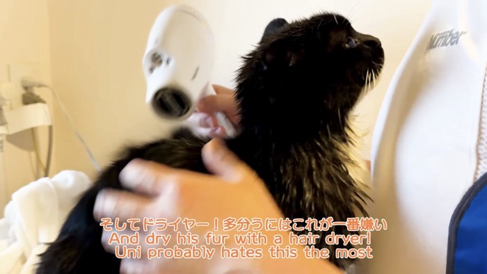 「そしてドライヤー...」のテロップ写真