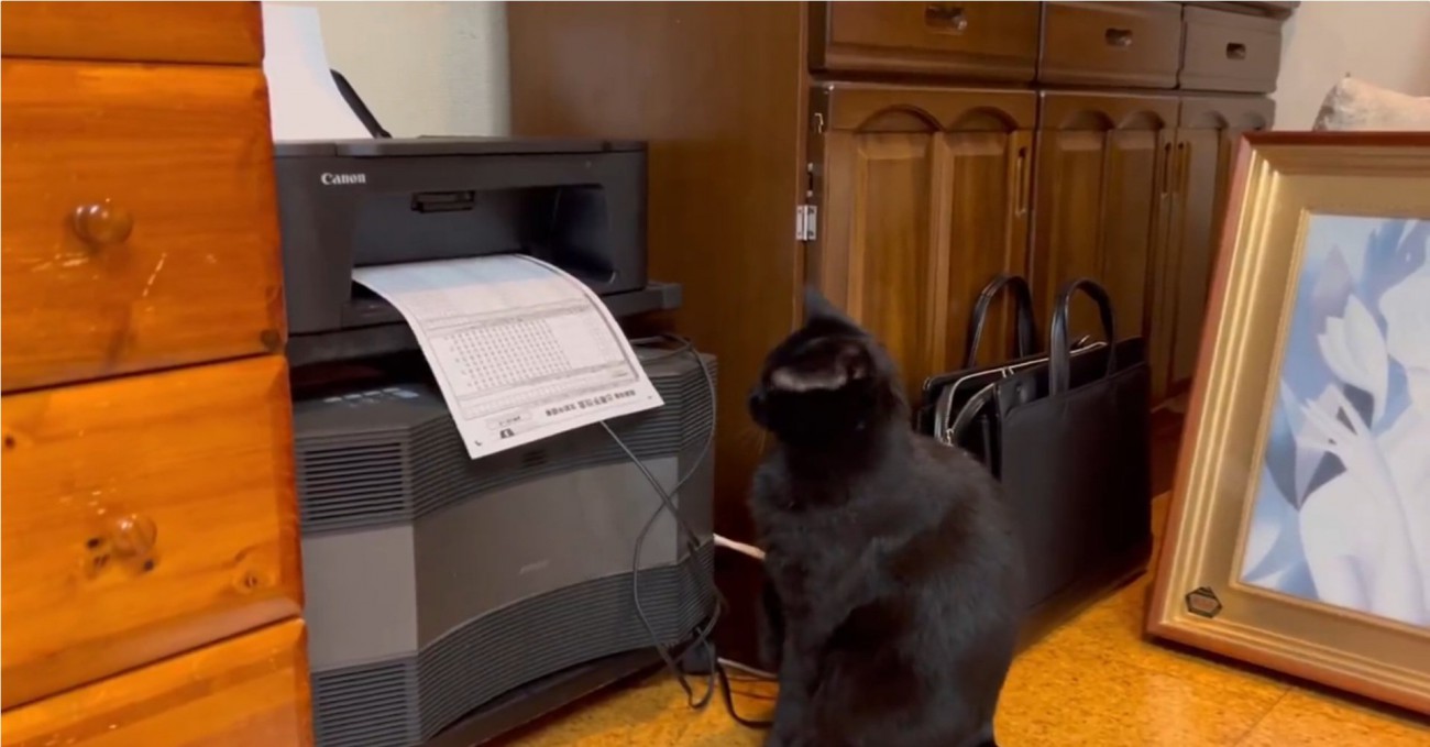 腰が引けるこねろくくん