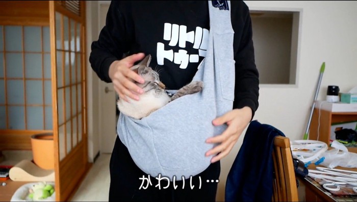 飼い主が掛けている抱っこ紐の中でジッとしている猫