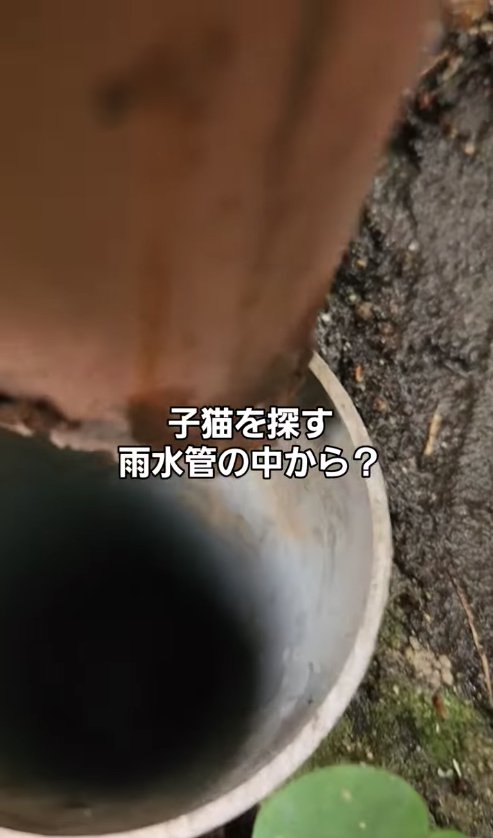 地面にある雨水管の中アップ