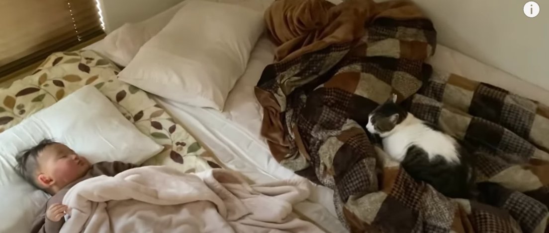 寝ている赤ちゃんとキジ白猫