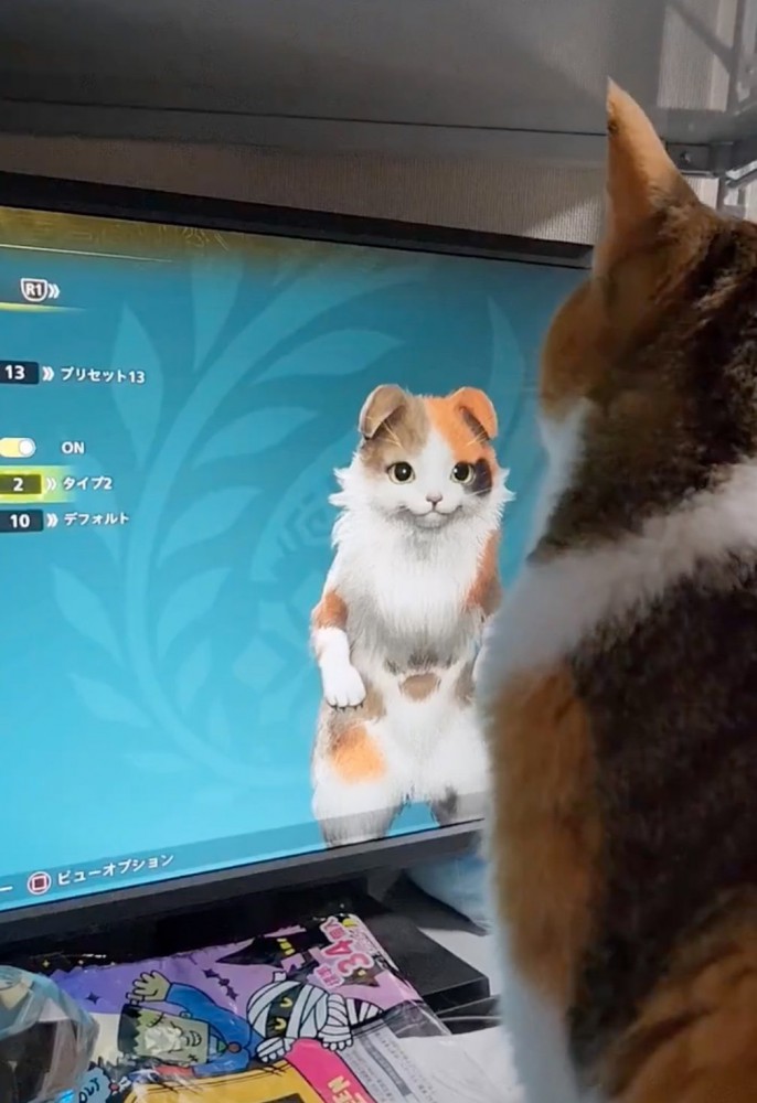 画面の猫を見つめる猫