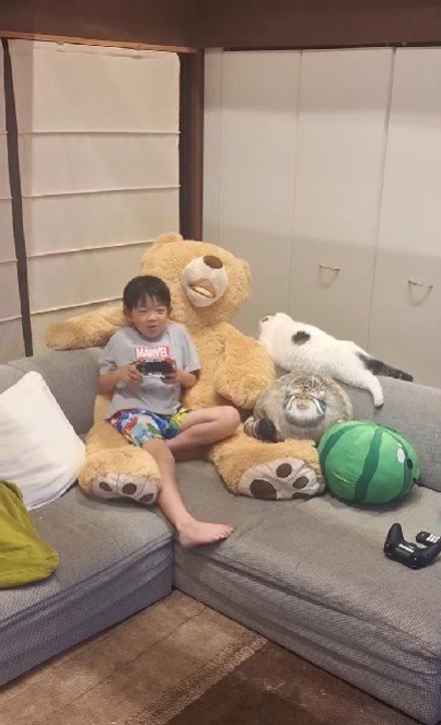 座っている子どもと猫