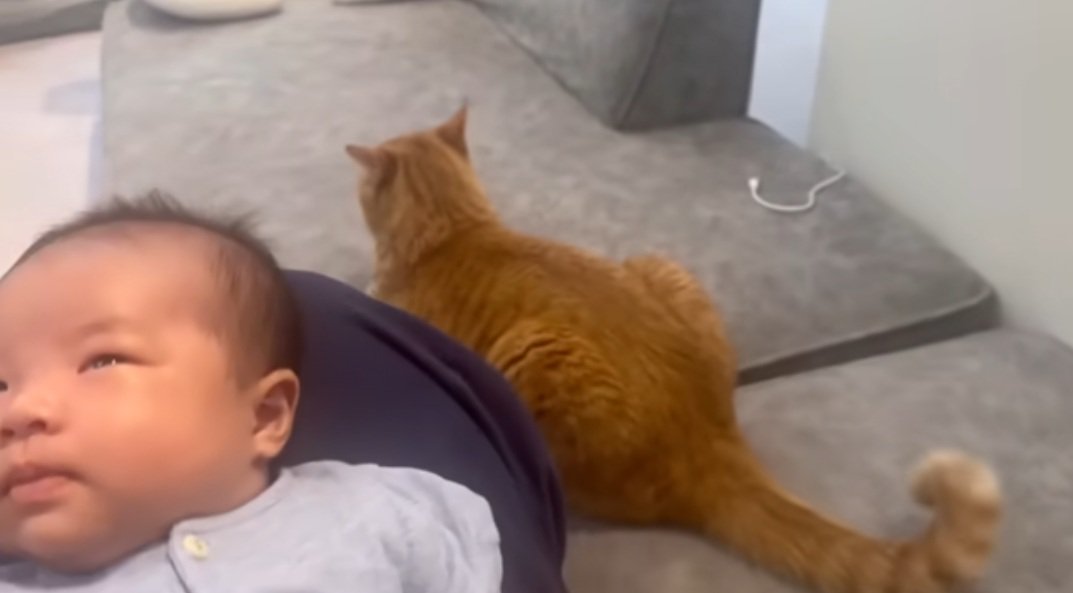 赤ちゃんのそばに座っている猫