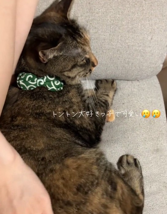 気持ちよさそうなステラちゃん