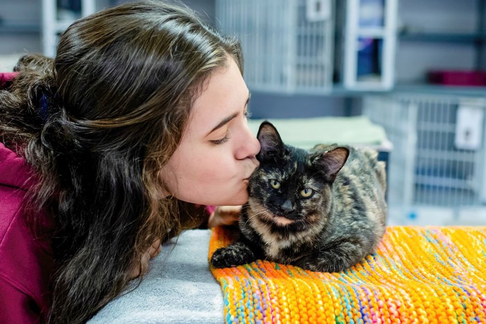 キスされるべっこう猫