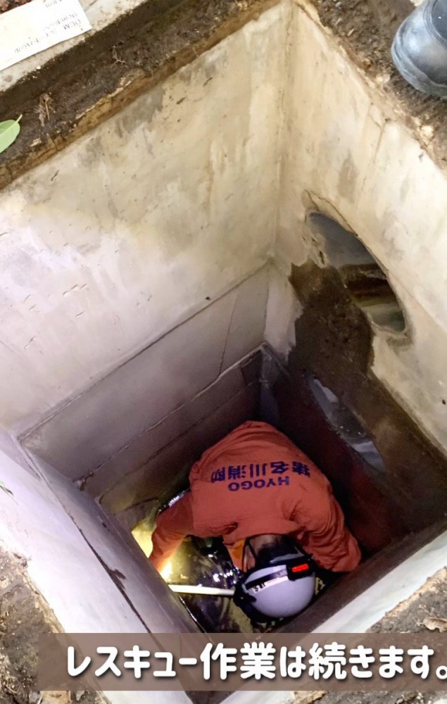 猫を救出に向かうレスキュー隊員