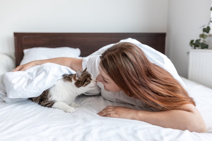 ベッドの上で猫と鼻キス