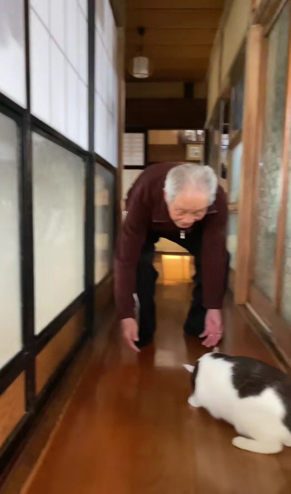 廊下に座る猫とおじいちゃん
