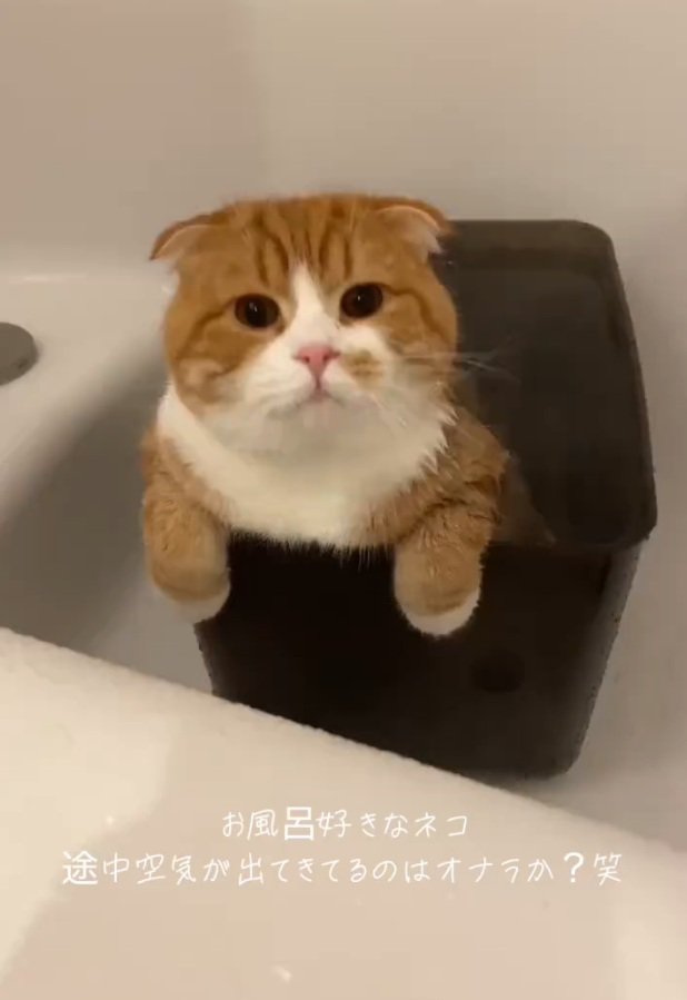 お風呂に入るエトくん