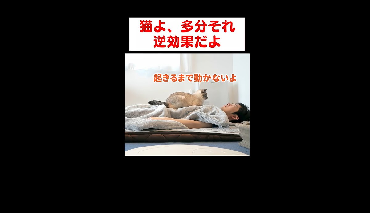 起きるまで動かないよ