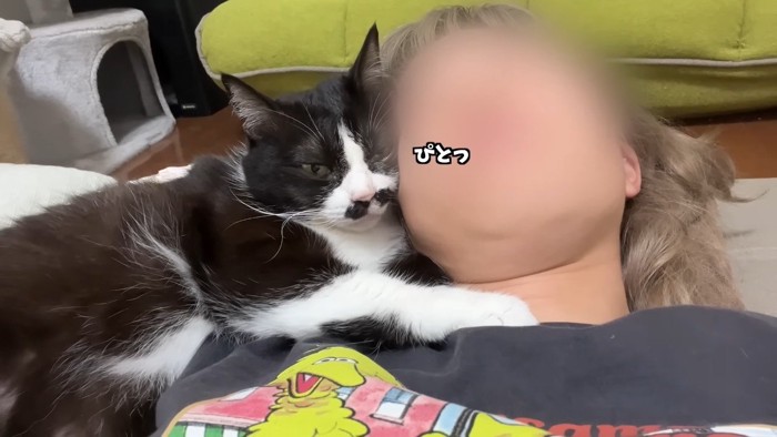 ぴとっ