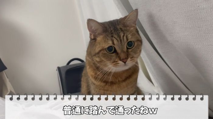 踏んで通るみにらくん