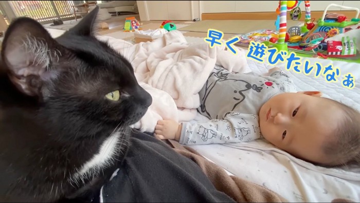 赤ちゃんのそばに座る黒猫