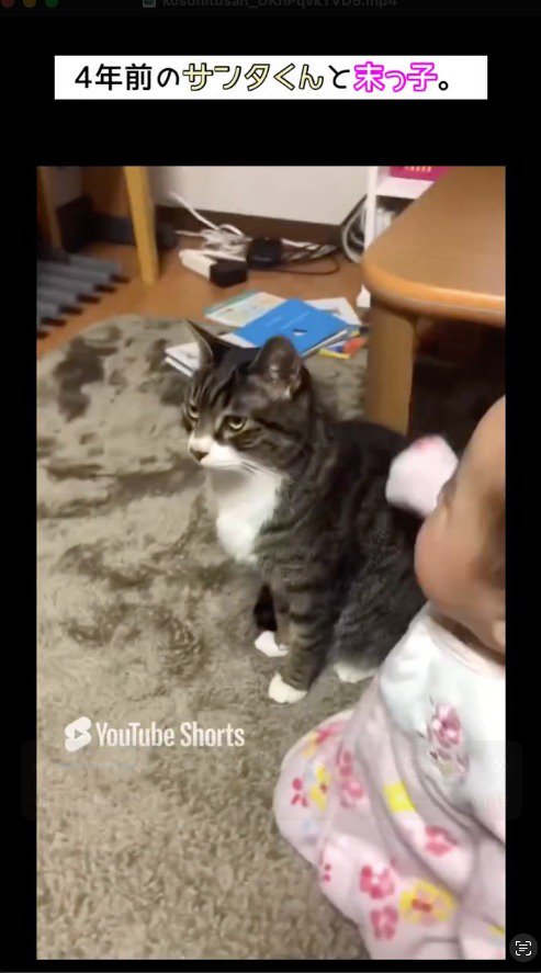 赤ちゃんの隣に座る猫