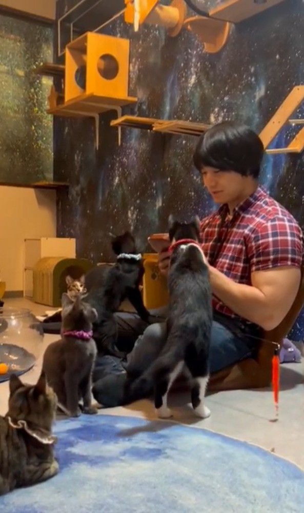 猫カフェでカリンバを奏でる青木マッチョさん