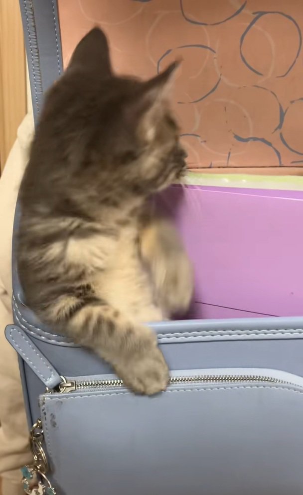 後ろが気になるスピカちゃん