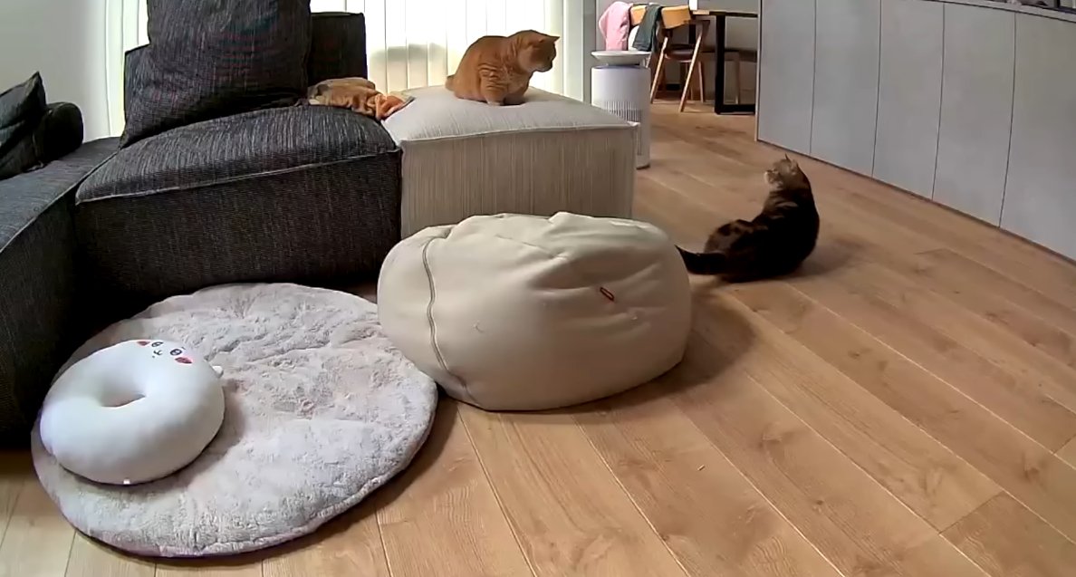 見つめ合うふたり