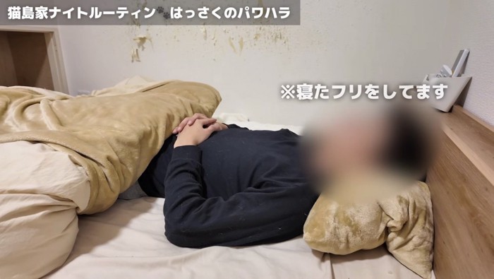 寝たふりをする主さん