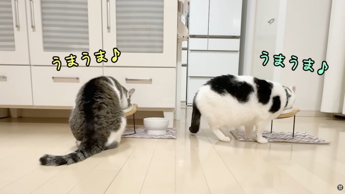 テロップ「うまうま」