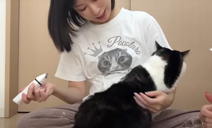 猫の様子