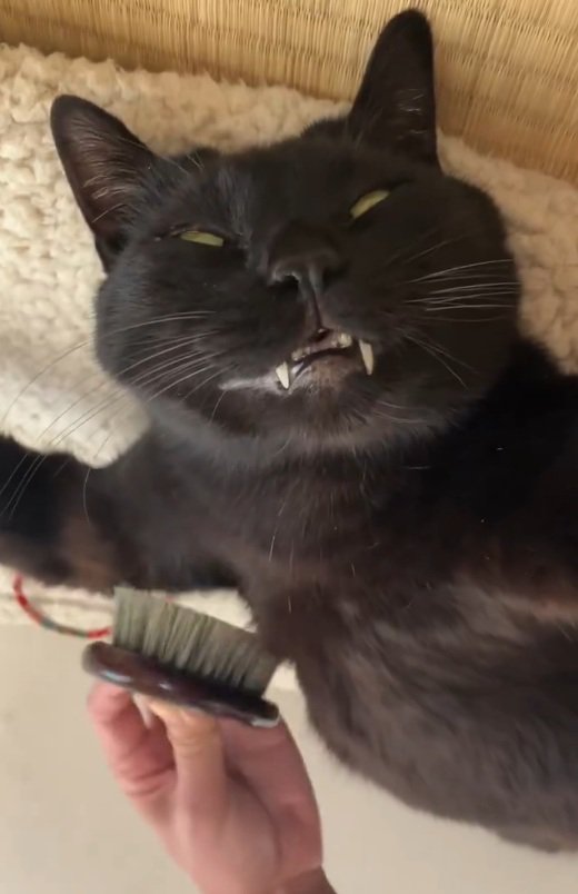 気持ちよさそうなルーくん