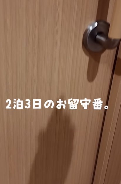 ドアノブまで写るドア(2泊3日のお留守番)