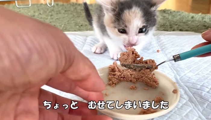 むせてしまいました