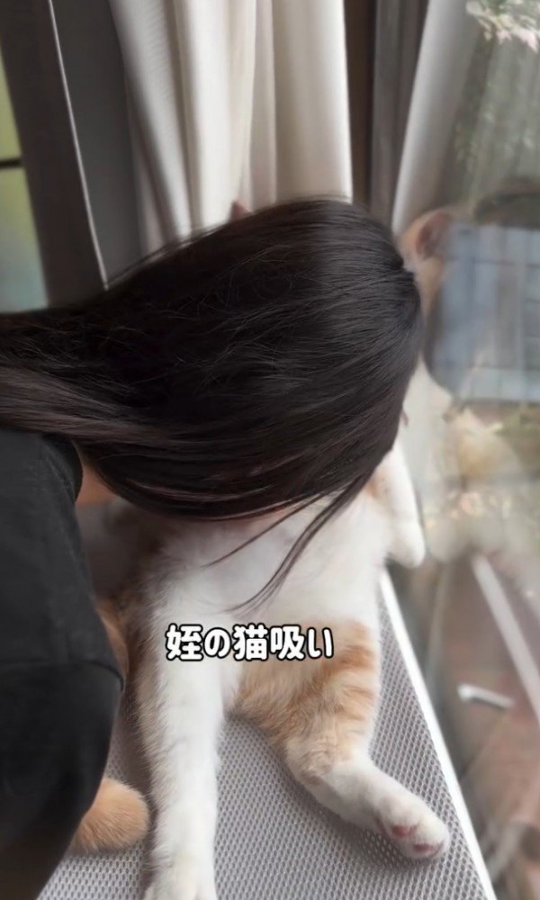 人間が猫のおなかを吸っている