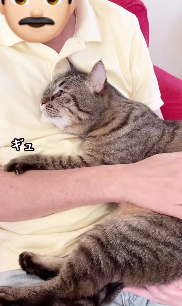 猫を膝にのせる男性