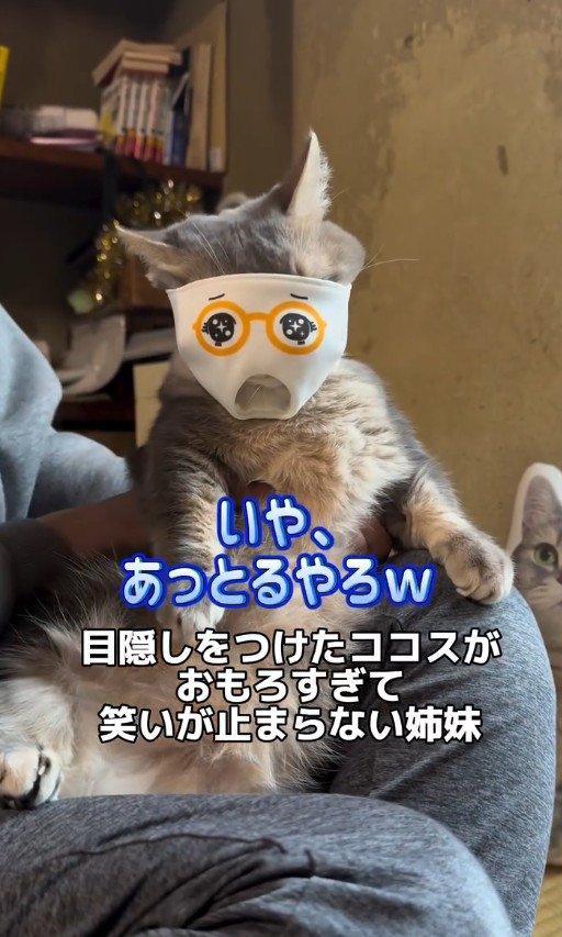 マスクをつけたココスくん