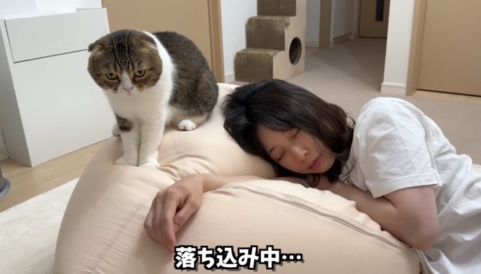 しょんぼりしている猫