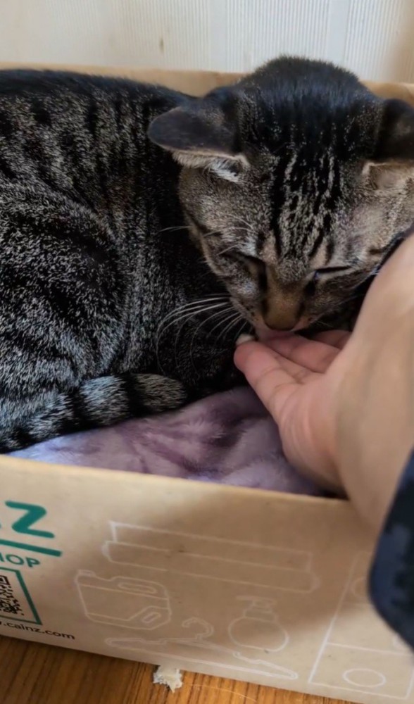 薬がこぼれてしまった